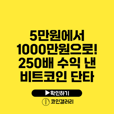 5만원에서 1000만원으로! 250배 수익 낸 비트코인 단타