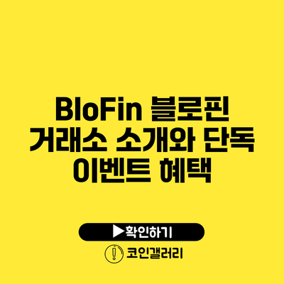 BloFin 블로핀 거래소 소개와 단독 이벤트 혜택