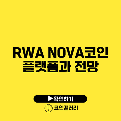 RWA NOVA코인 플랫폼과 전망