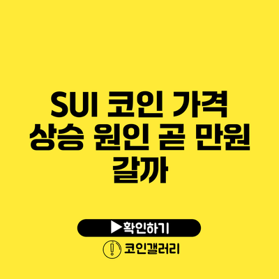 SUI 코인 가격 상승 원인: 곧 만원 갈까?