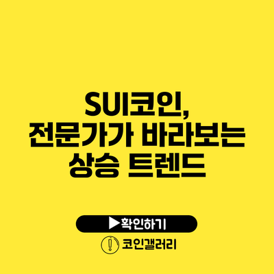 SUI코인, 전문가가 바라보는 상승 트렌드