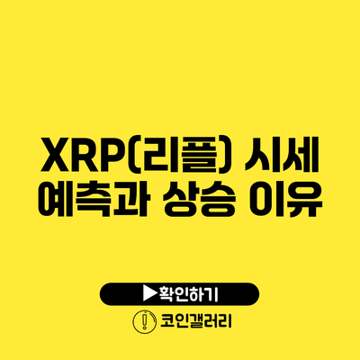 XRP(리플) 시세 예측과 상승 이유