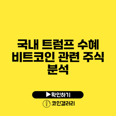 국내 트럼프 수혜 비트코인 관련 주식 분석