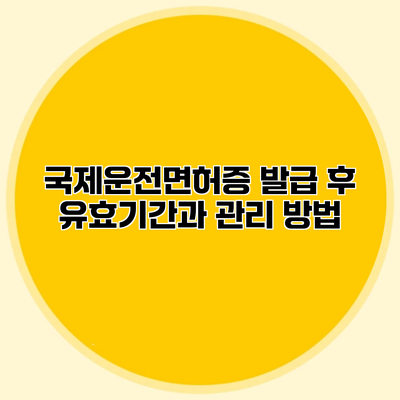 국제운전면허증 발급 후 유효기간과 관리 방법