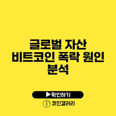 글로벌 자산 비트코인: 폭락 원인 분석