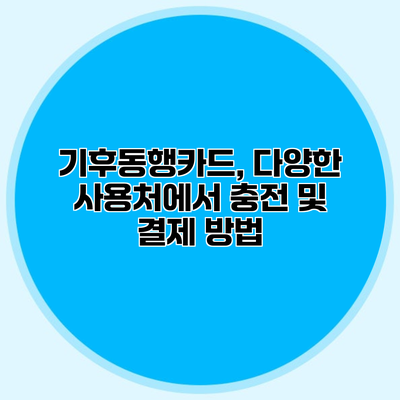 기후동행카드, 다양한 사용처에서 충전 및 결제 방법