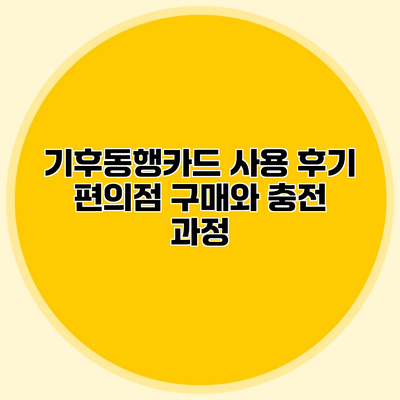 기후동행카드 사용 후기 편의점 구매와 충전 과정