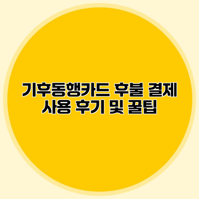 기후동행카드 후불 결제 사용 후기 및 꿀팁