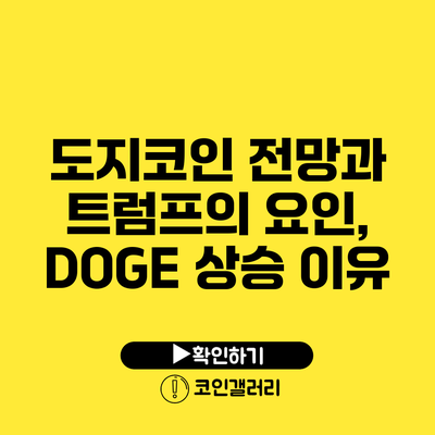 도지코인 전망과 트럼프의 요인, DOGE 상승 이유