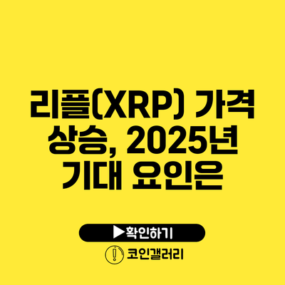 리플(XRP) 가격 상승, 2025년 기대 요인은?