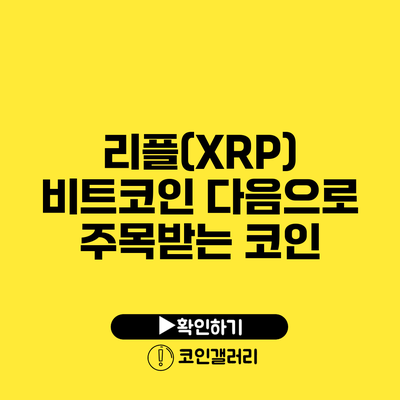 리플(XRP): 비트코인 다음으로 주목받는 코인