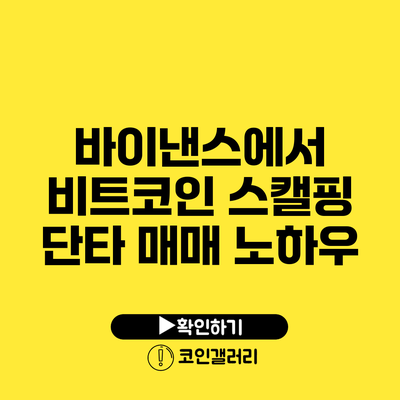 바이낸스에서 비트코인 스캘핑 단타 매매 노하우