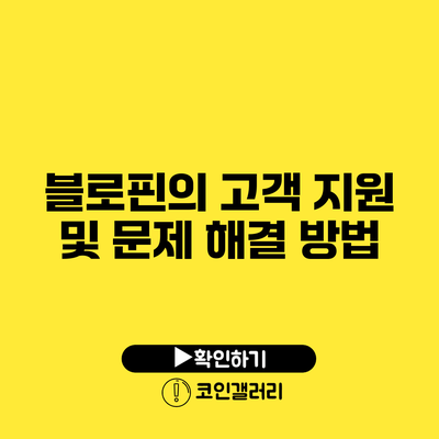 블로핀의 고객 지원 및 문제 해결 방법