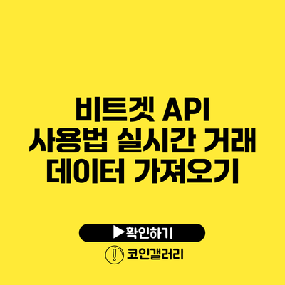 비트겟 API 사용법: 실시간 거래 데이터 가져오기