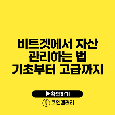 비트겟에서 자산 관리하는 법: 기초부터 고급까지