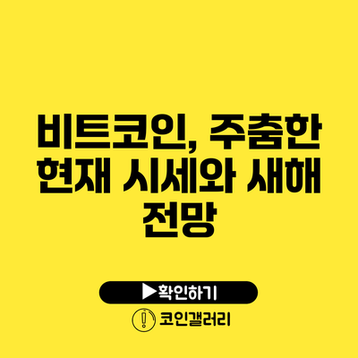 비트코인, 주춤한 현재 시세와 새해 전망