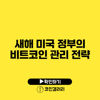 새해 미국 정부의 비트코인 관리 전략