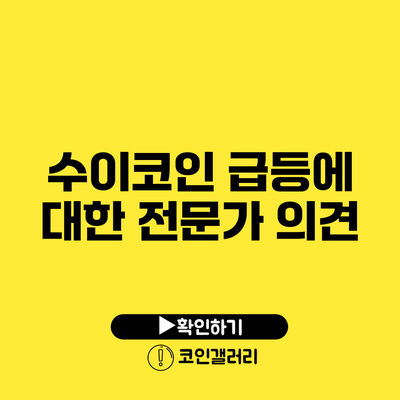 수이코인 급등에 대한 전문가 의견