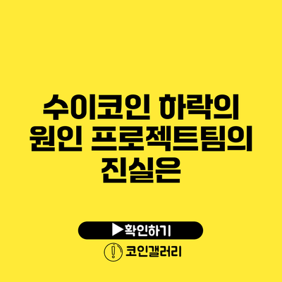 수이코인 하락의 원인: 프로젝트팀의 진실은?