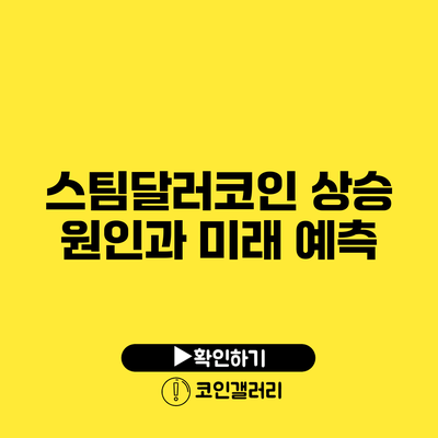 스팀달러코인 상승 원인과 미래 예측