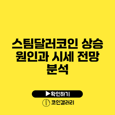 스팀달러코인 상승 원인과 시세 전망 분석