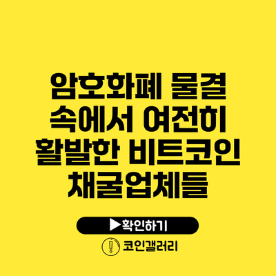 암호화폐 물결 속에서 여전히 활발한 비트코인 채굴업체들