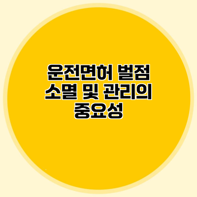 운전면허 벌점 소멸 및 관리의 중요성