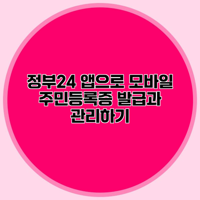 정부24 앱으로 모바일 주민등록증 발급과 관리하기