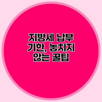 지방세 납부 기한, 놓치지 않는 꿀팁