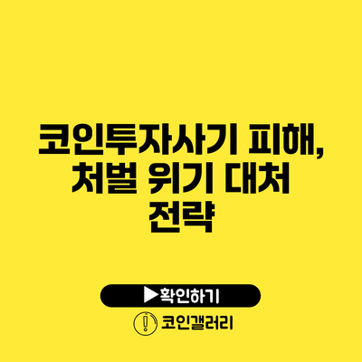 코인투자사기 피해, 처벌 위기 대처 전략