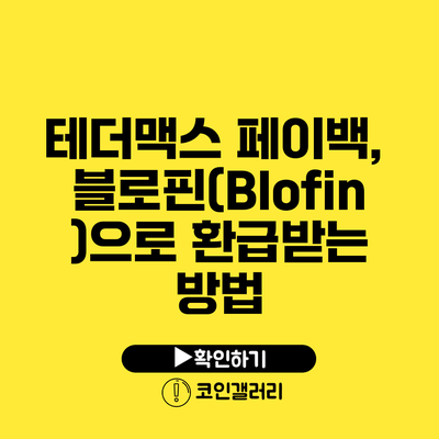 테더맥스 페이백, 블로핀(Blofin)으로 환급받는 방법