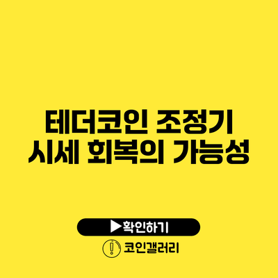 테더코인 조정기: 시세 회복의 가능성