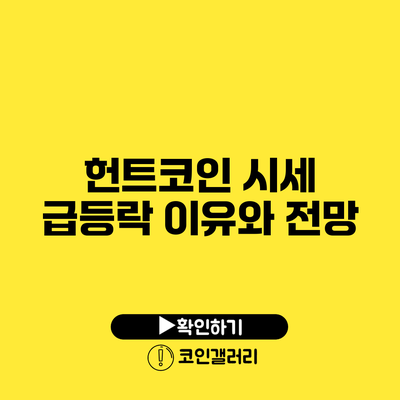 헌트코인 시세 급등락 이유와 전망