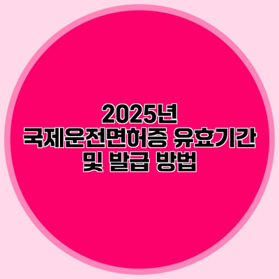 2025년 국제운전면허증 유효기간 및 발급 방법