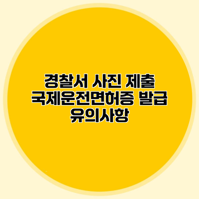 경찰서 사진 제출 국제운전면허증 발급 유의사항