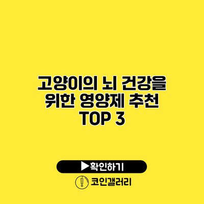 고양이의 뇌 건강을 위한 영양제 추천 TOP 3