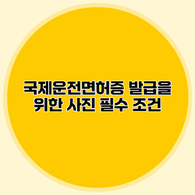 국제운전면허증 발급을 위한 사진 필수 조건