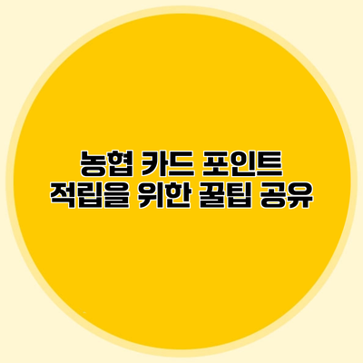 농협 카드 포인트 적립을 위한 꿀팁 공유