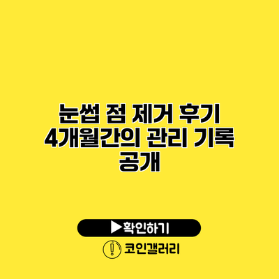 눈썹 점 제거 후기 4개월간의 관리 기록 공개