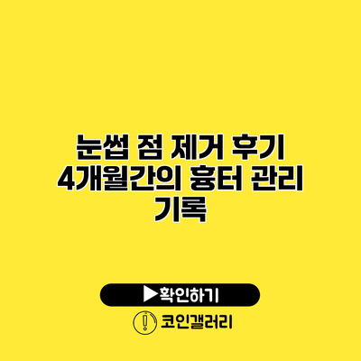 눈썹 점 제거 후기 4개월간의 흉터 관리 기록