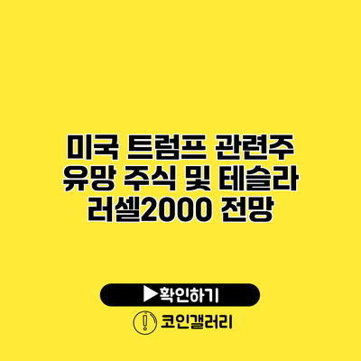 미국 트럼프 관련주 유망 주식 및 테슬라 러셀2000 전망