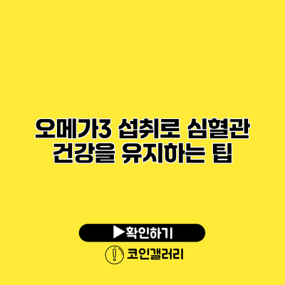 오메가3 섭취로 심혈관 건강을 유지하는 팁