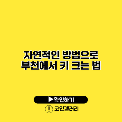 자연적인 방법으로 부천에서 키 크는 법