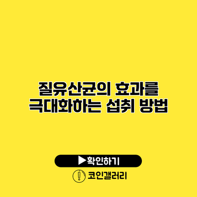 질유산균의 효과를 극대화하는 섭취 방법