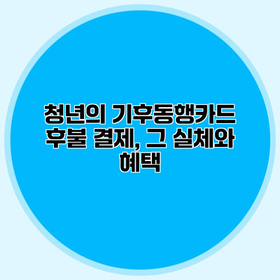 청년의 기후동행카드 후불 결제, 그 실체와 혜택