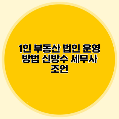 1인 부동산 법인 운영 방법 신방수 세무사 조언