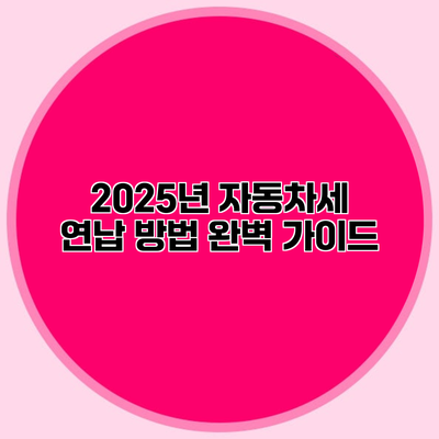 2025년 자동차세 연납 방법 완벽 가이드