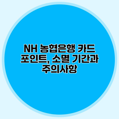 NH 농협은행 카드 포인트, 소멸 기간과 주의사항