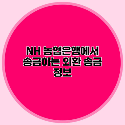NH 농협은행에서 송금하는 외환 송금 정보
