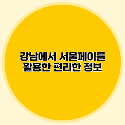 강남에서 서울페이를 활용한 편리한 정보